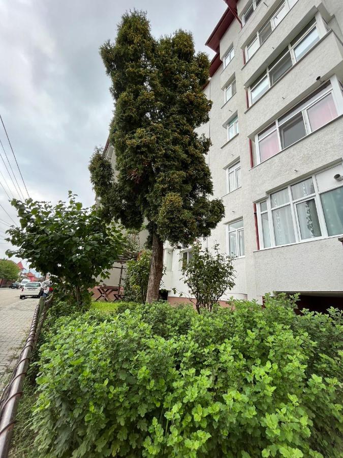 Lala'S Sweet Nest Apartment Călimăneşti Exterior foto