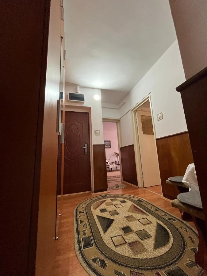 Lala'S Sweet Nest Apartment Călimăneşti Exterior foto